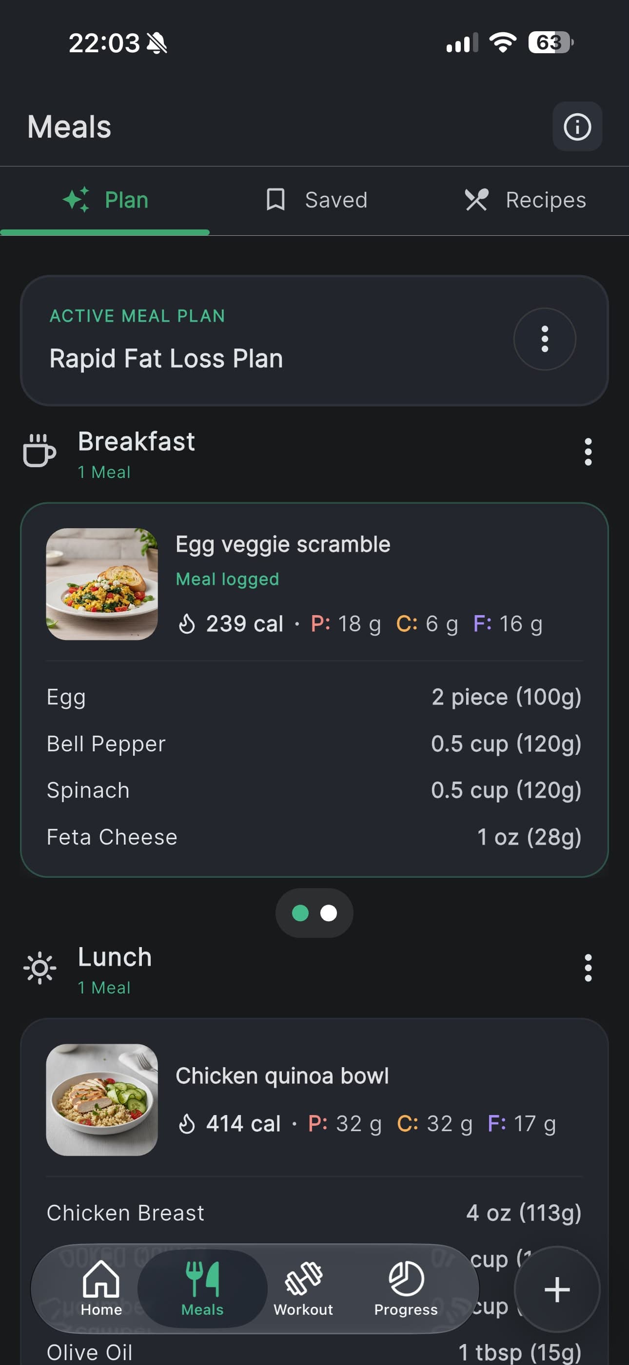 The meal plan tab showing an active rapid fat loss plan, with breakfast and lunch broken down to the gram.